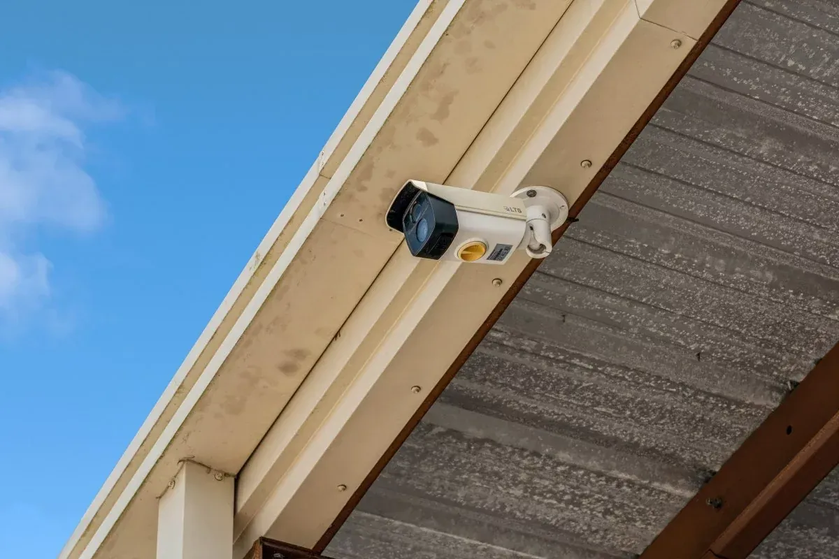 Honey Bee RV security cameras