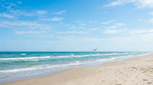 Turquoise waves lap a wide sandy Texas beach under a bright blue sky as a pelican glides over the water.