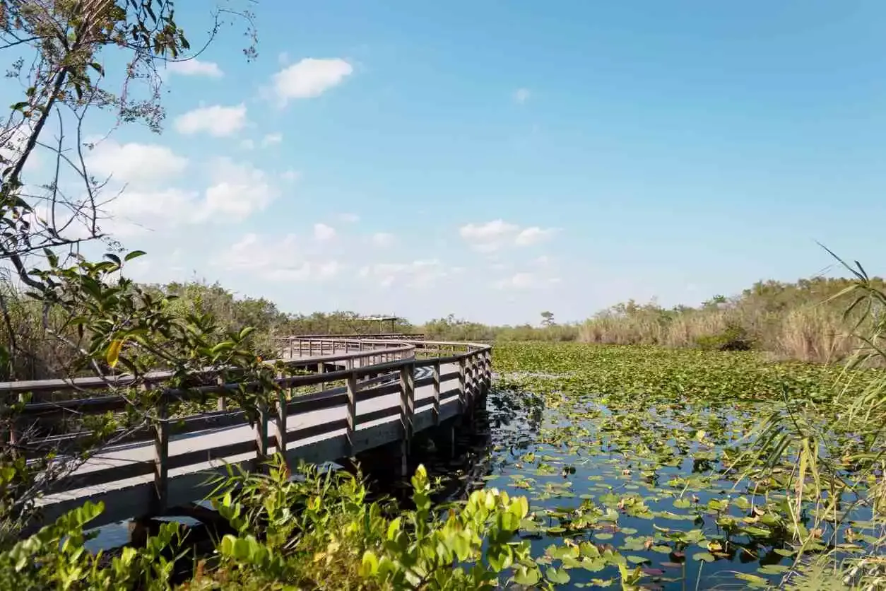 Everglades-National-Park.webp