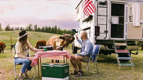 RV with farm animals