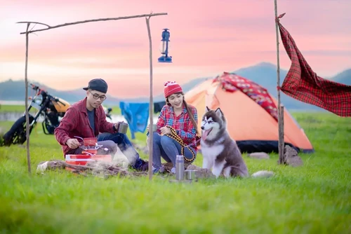 A couple sits by a campfire with their dog in front of a tent at sunset, enjoying a peaceful outdoor camping trip.