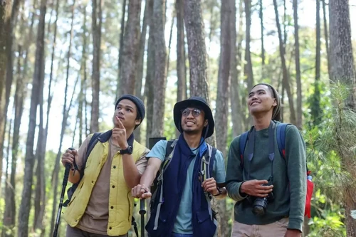 Three hikers with backpacks and trekking poles admire the forest, smiling and looking up at the trees.